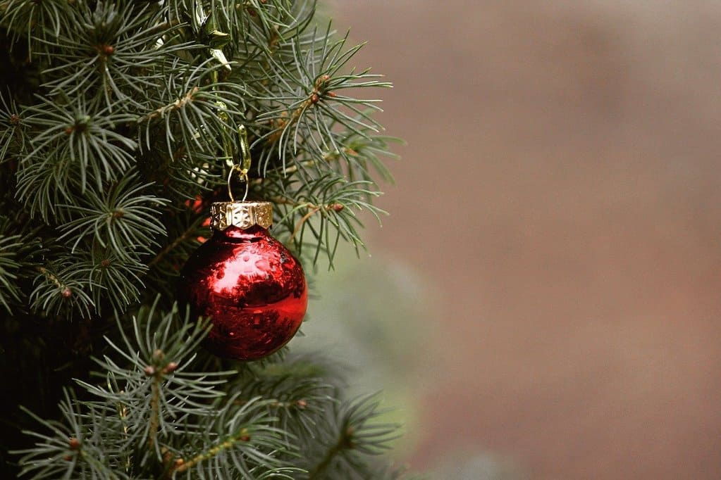 árbol navideño ecológico